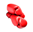 Bursa muay thai eğitimi dekoratif element